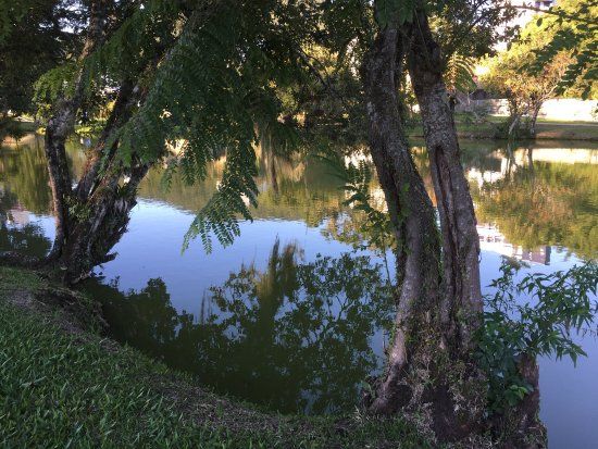 Florianopolis Botanical Garden